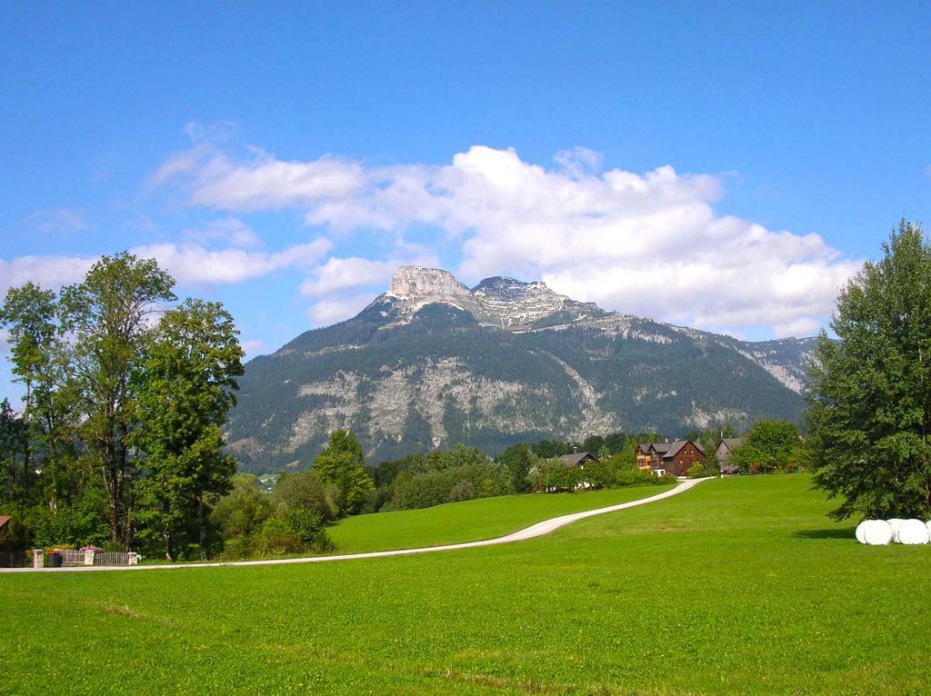 Haus Hepi Hotel Obertraun Buitenkant foto